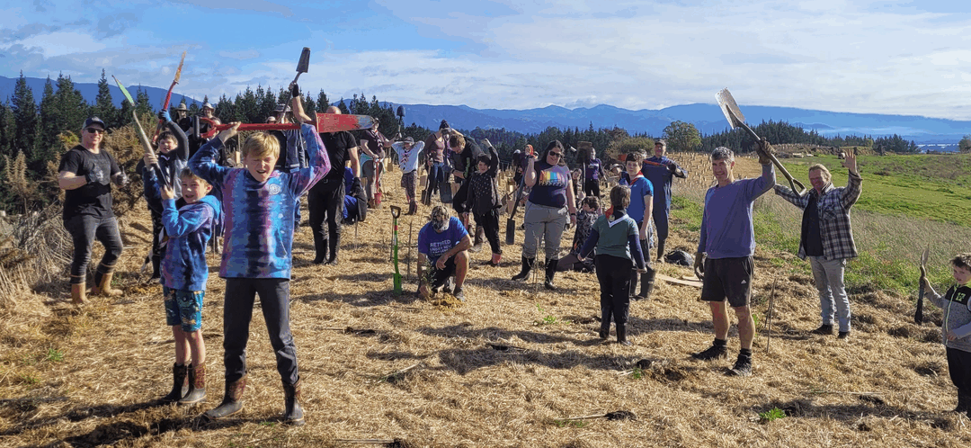 Planting the Future: Supporting the Te Mamaku Native Corridor